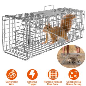 1Pc Humane Cat Trap Cage Catch Release Live Animal Rodent Cage Collapsible Galvanized Wire For Small Raccoons Beavers Groundhogs Foxes Armadillos