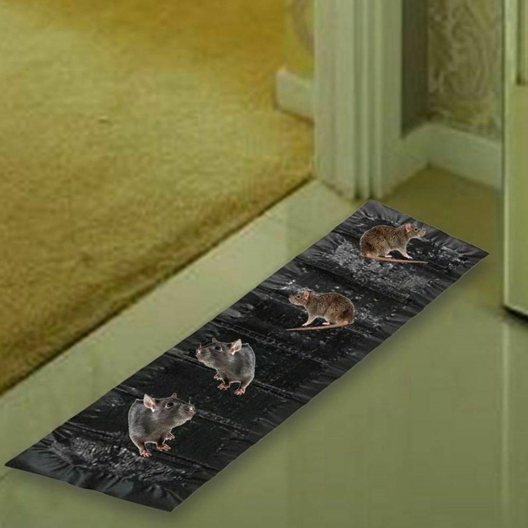 Mouse Traps Rat Mice Mouse Trap Board Snare Catcher Pad Pest Control UK - Image 4