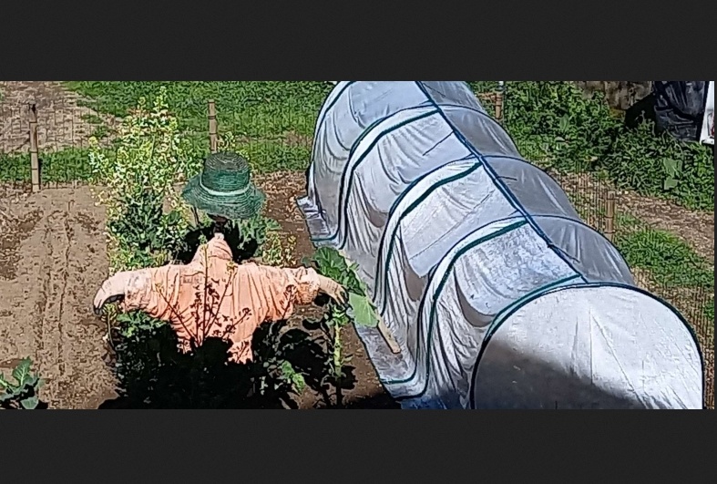 Portable Tunneled Greenhouse With 4 Zippered Doors, Water UV Fighting PVC Cover - Image 6