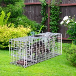1Pc 25.59Inch Live Humane Animal Trap Cage Heavy Duty Folding Catch And Release Rodent Cage For Rabbit Squirrel Possum Skunk Kitten Raccoon And More