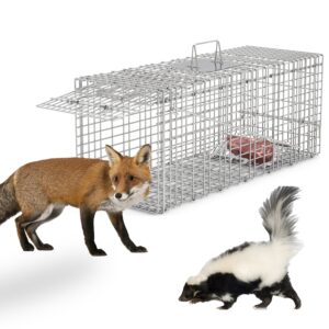 1Pc Humane Cat Trap Cage Catch Release Live Animal Rodent Cage Collapsible Galvanized Wire For Raccoons Beavers Groundhogs Foxes Armadillos Fedex Shipping
