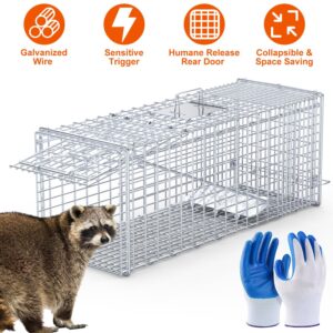 1Pc Live Animal Trap Cage 37x14x15in Folding Catch And Release Humane Cat Trap Galvanized Iron For Raccoons Foxes Coyotes Stray Dogs Armadillos Squirrels