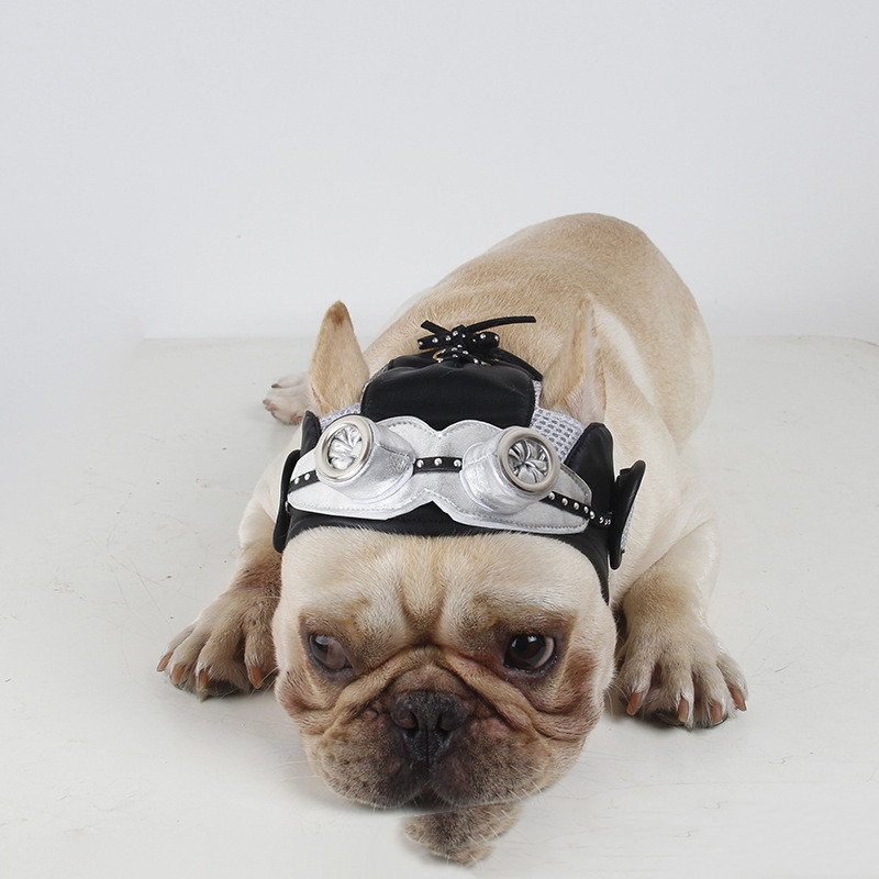 Pet Products Party Dress Fight - Image 5