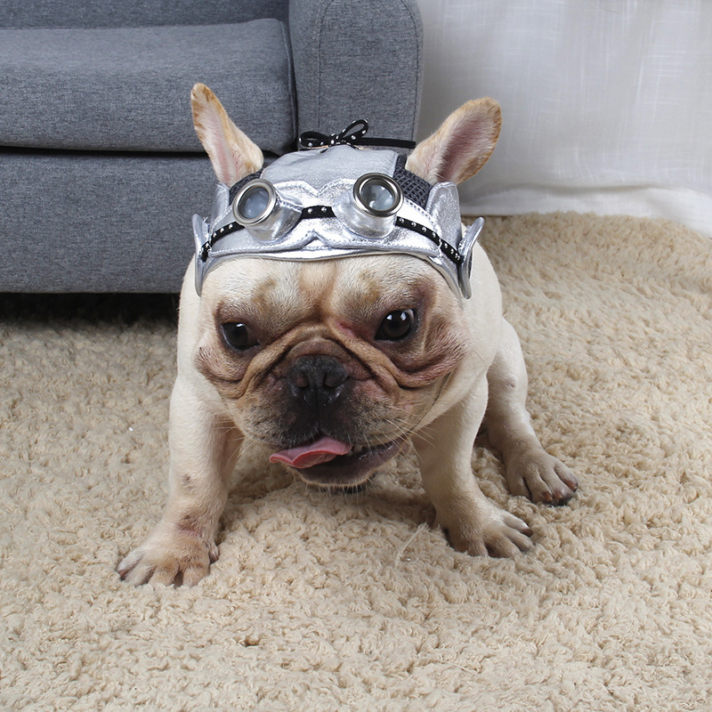 Pet Products Party Dress Fight - Image 6